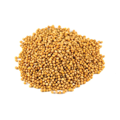 Atlas Mustard Seeds Yellow 500g Supplied by Caterlink SA