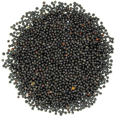 Atlas Mustard Seeds Black 500g