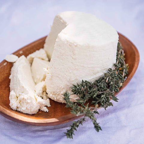 Zandam Ricotta Cheese supplied by Caterlink SA